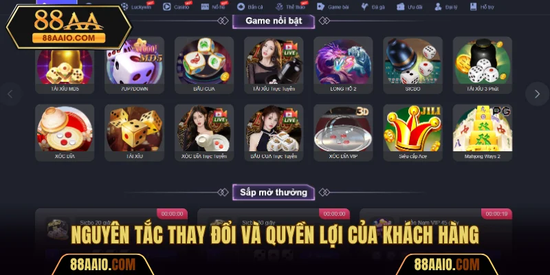 Nguyên tắc thay đổi, quyền lợi, nghĩa vụ của người chơi